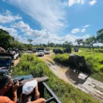 A thrilling wildlife safari at Sigiri Vananthara: Tourists in safari jeeps capturing a majestic elephant crossing a muddy path.