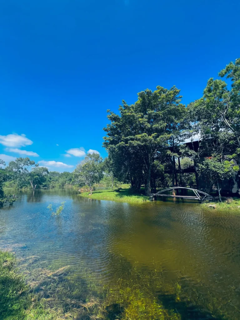 A tranquil lake reflecting the blue sky and surrounding trees, with a visible bridge or structure spanning part of the water, showcasing the scenic beauty of Sigiriya Vananthara Nature Resort.