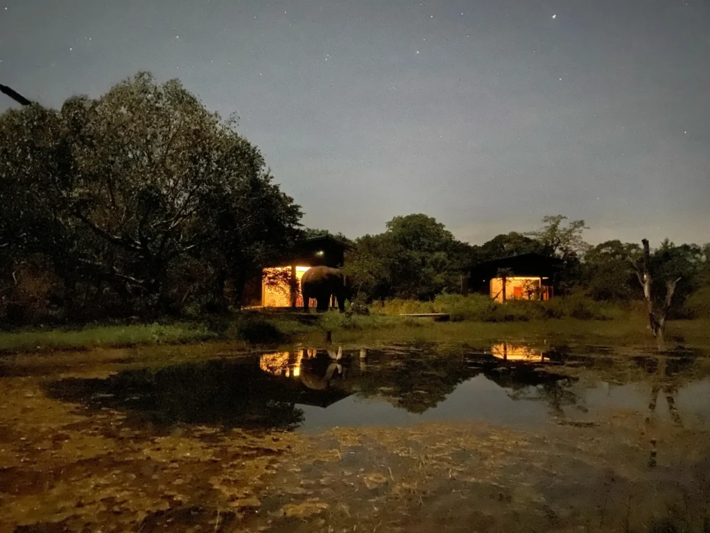 Nighttime view of nature resorts in Sigiriya with illuminated cabins, a calm pond, and an elephant near the trees under a starry sky.