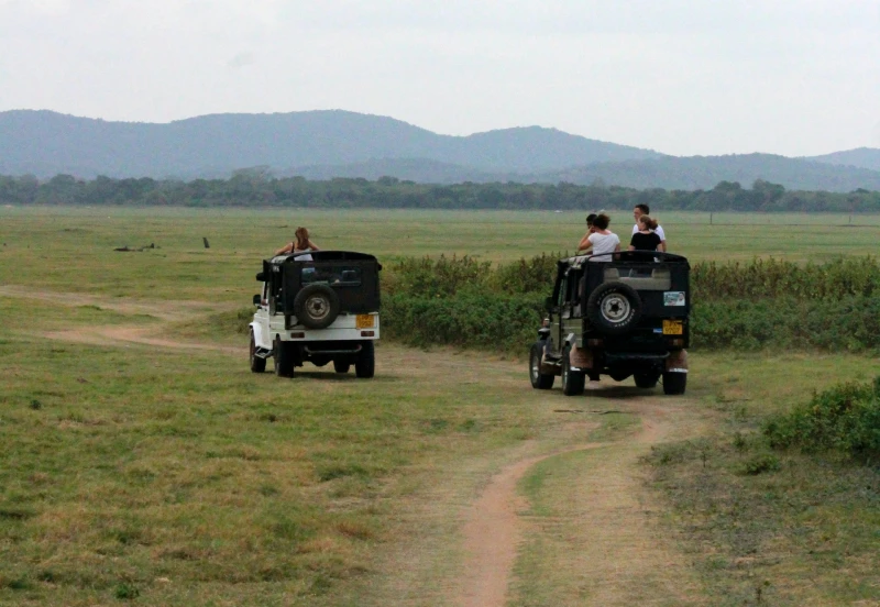 Sigiri Vananthara nature resort featuring lush greenery, wildlife, scenic landscapes, and eco-friendly accommodations in Sri Lanka’s cultural triangle.