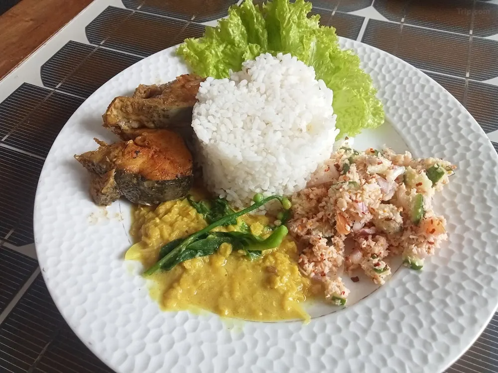 Sigiri Vananthara nature resort featuring lush greenery, wildlife, scenic landscapes, and eco-friendly accommodations in Sri Lanka’s cultural triangle.